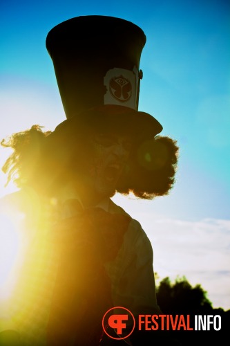 Sfeerfoto Tomorrowland 2013