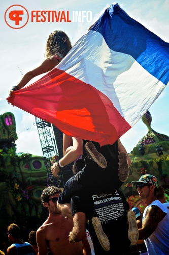 Sfeerfoto Tomorrowland 2013