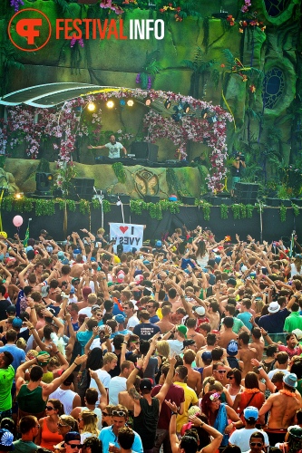 Sfeerfoto Tomorrowland 2013