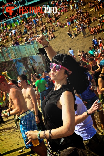 Sfeerfoto Tomorrowland 2013