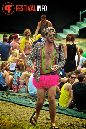 Sfeerfoto Tomorrowland 2013