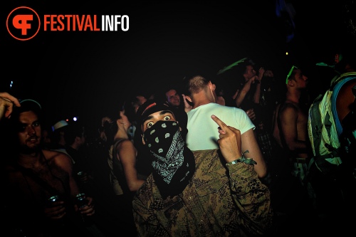 Sfeerfoto Tomorrowland 2013