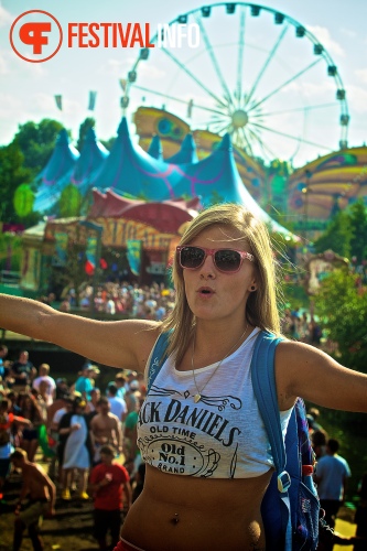 Sfeerfoto Tomorrowland 2013