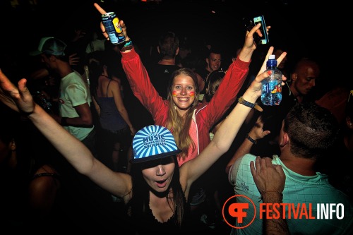 Sfeerfoto Tomorrowland 2013