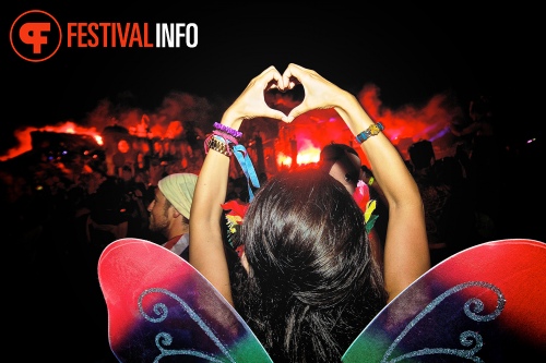 Sfeerfoto Tomorrowland 2013
