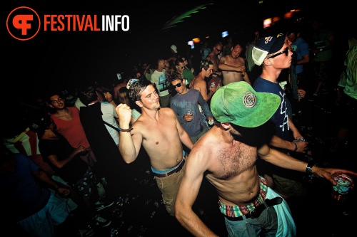 Sfeerfoto Tomorrowland 2013