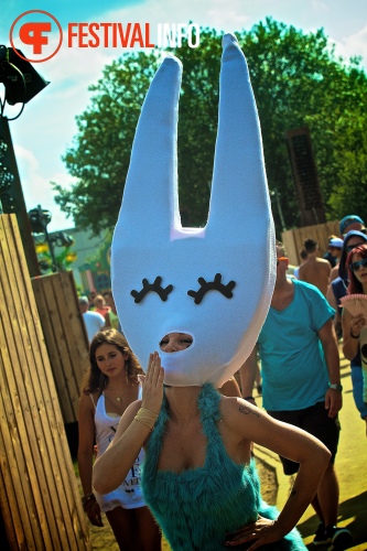 Sfeerfoto Tomorrowland 2013