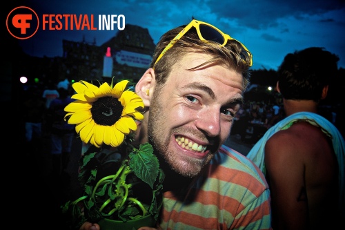 Sfeerfoto Tomorrowland 2013