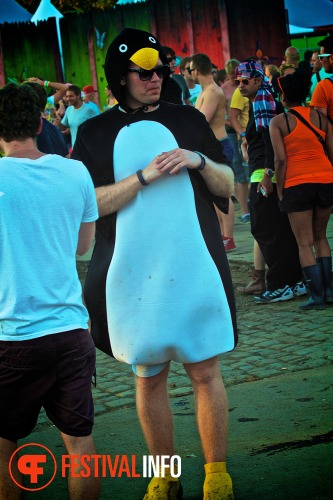 Sfeerfoto Tomorrowland 2013