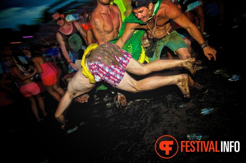 Sfeerfoto Tomorrowland 2013