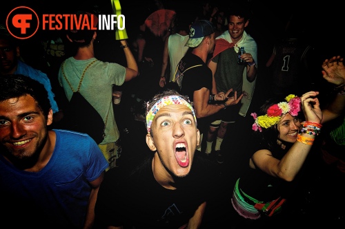 Sfeerfoto Tomorrowland 2013