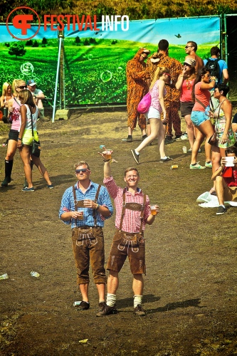 Sfeerfoto Tomorrowland 2013