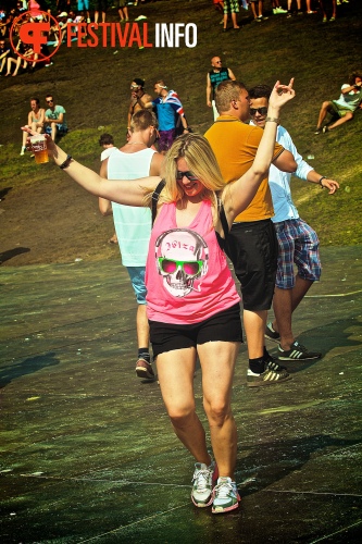 Sfeerfoto Tomorrowland 2013