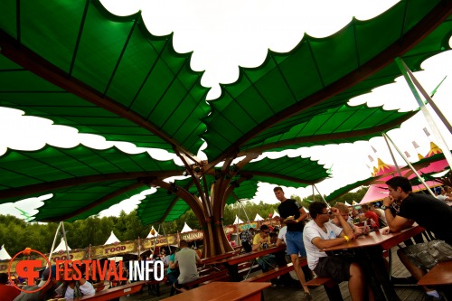 Sfeerfoto Tomorrowland 2013