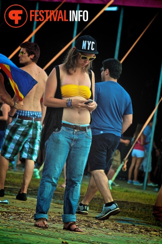 Sfeerfoto Tomorrowland 2013