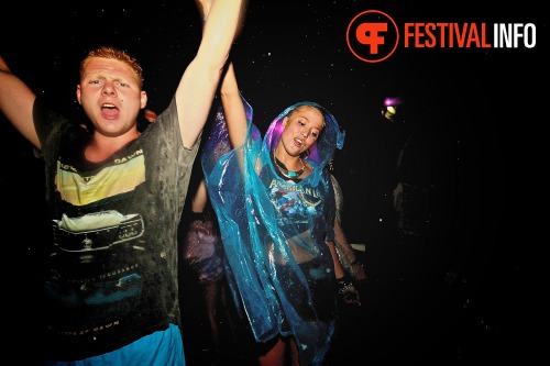 Sfeerfoto Tomorrowland 2013