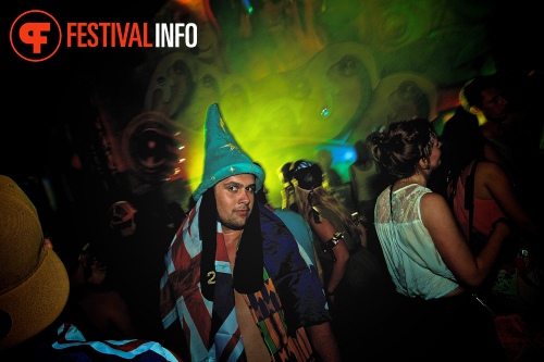 Sfeerfoto Tomorrowland 2013