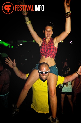 Sfeerfoto Tomorrowland 2013