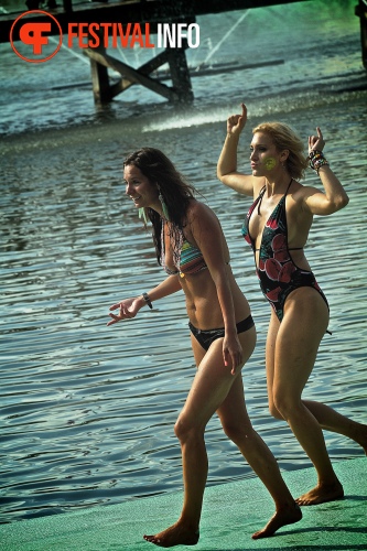 Sfeerfoto Tomorrowland 2013