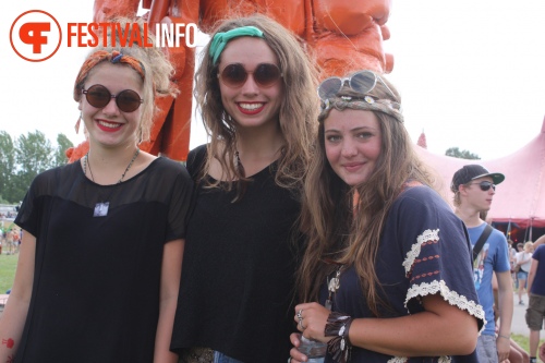 Sfeerfoto Lowlands 2013 - dag 1