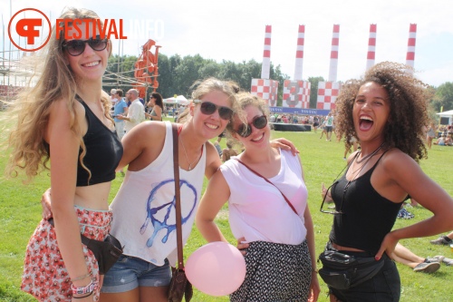 Sfeerfoto Lowlands 2013 - dag 1