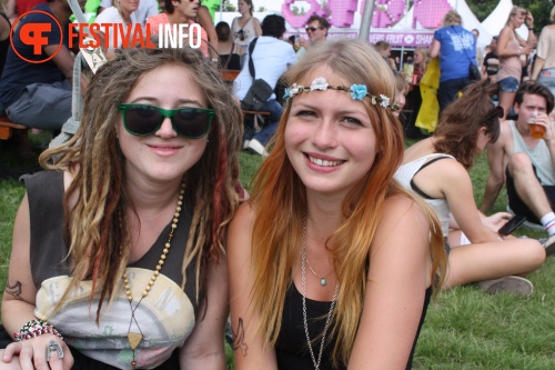Sfeerfoto Lowlands 2013 - dag 1