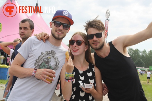 Sfeerfoto Lowlands 2013 - dag 1