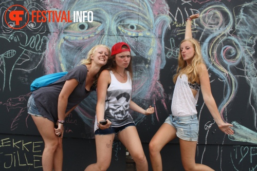 Sfeerfoto Lowlands 2013 - dag 2