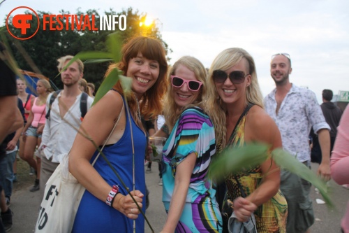Sfeerfoto Lowlands 2013 - dag 2