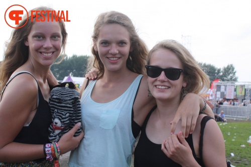 Sfeerfoto Lowlands 2013 - dag 2