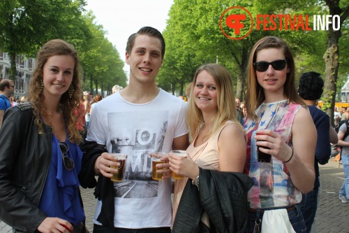 Sfeerfoto Bevrijdingspop Haarlem