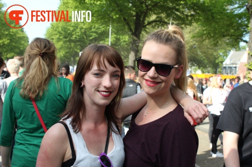 Sfeerfoto Bevrijdingspop Haarlem