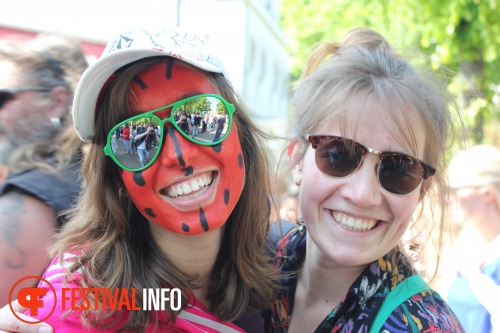 Sfeerfoto Bevrijdingspop Haarlem