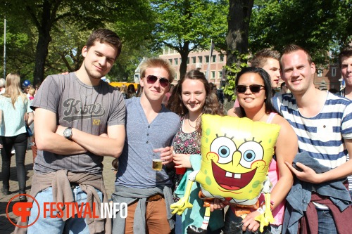 Sfeerfoto Bevrijdingspop Haarlem