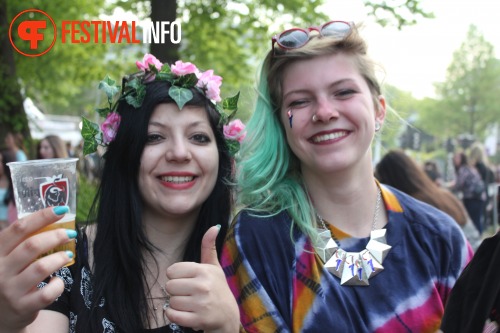 Sfeerfoto Bevrijdingspop Haarlem