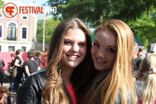 Sfeerfoto Bevrijdingspop Haarlem