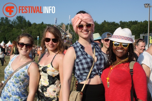 Sfeerfoto Pinkpop 2014 - dag 2