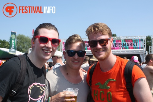 Sfeerfoto Pinkpop 2014 - dag 2