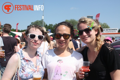 Sfeerfoto Pinkpop 2014 - dag 2