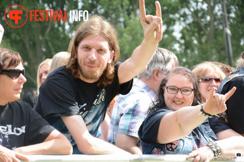 Sfeerfoto Parkpop 2014