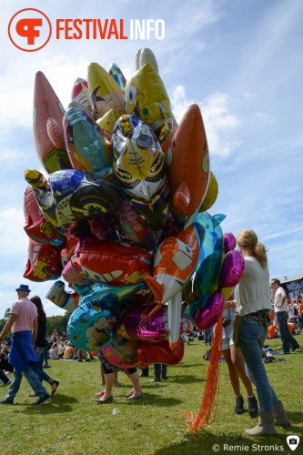 Sfeerfoto Parkpop 2014