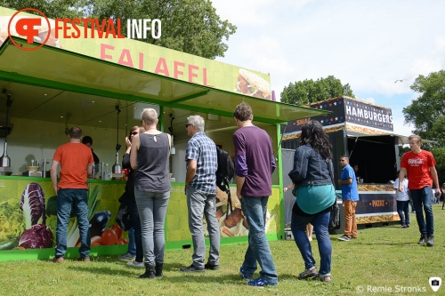 Sfeerfoto Parkpop 2014