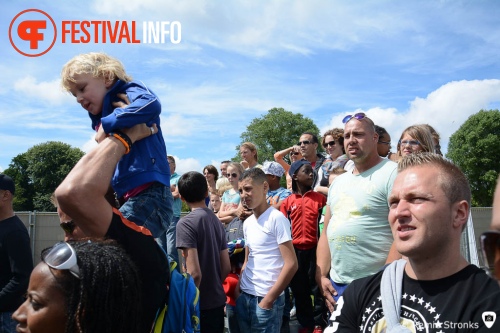 Sfeerfoto Parkpop 2014