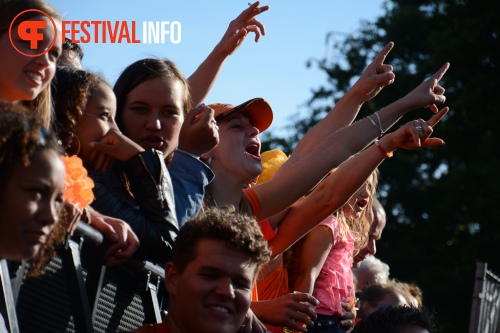 Sfeerfoto Parkpop 2014