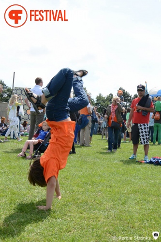 Sfeerfoto Parkpop 2014