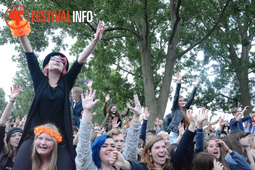 Sfeerfoto Parkpop 2014