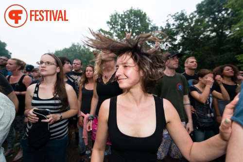 Sfeerfoto Werfpop 2014