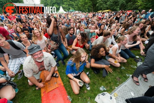 Sfeerfoto Werfpop 2014