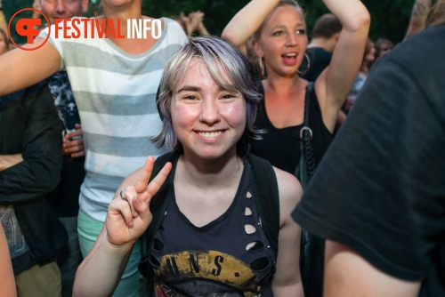 Sfeerfoto Werfpop 2014