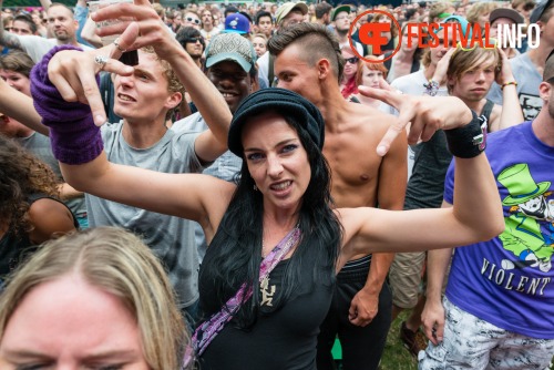 Sfeerfoto Werfpop 2014